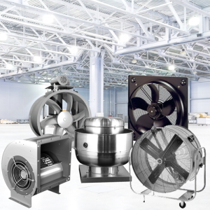 Fans (mod)