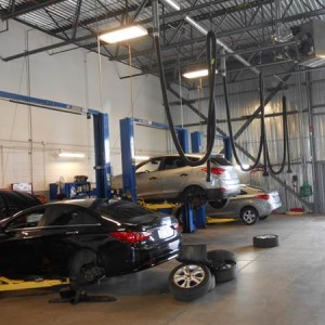 Cord and pulleys systems